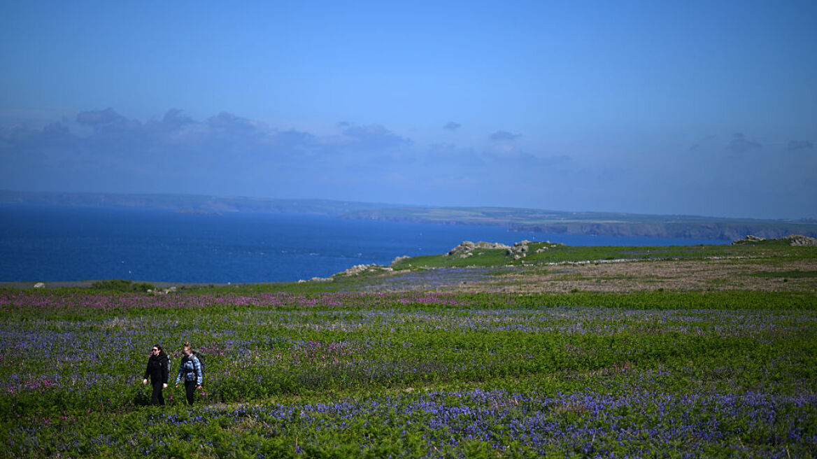 Μπορείτε να μείνετε δωρεάν σε αυτό το εντυπωσιακό νησί, αρκεί να είστε πρόθυμοι να μετρήσετε παπαγάλους της θάλασσας
