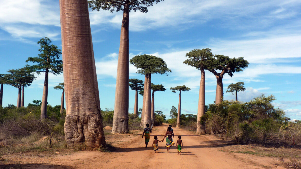 Μαδαγασκάρη, το πανέμορφο νησί των λεμούριων και των μπαομπάμπ
