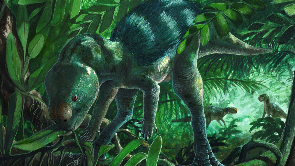 Ανακαλύφθηκε νέο είδος μικροσκοπικών δεινοσαύρων στην Ισπανία