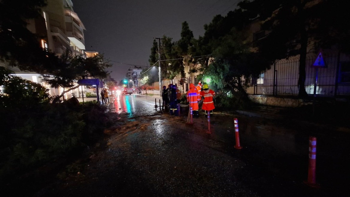 Δένδρα- παγίδες στους δρόμους της Νέας Σμύρνης και το περίφημο άλσος χωρίς... πράσινο 