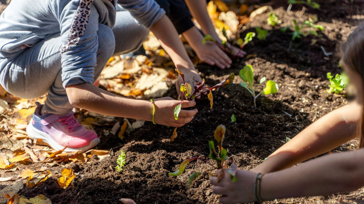 Carbon Farming Schools 2025: ΔΕΗ και Open Farm προωθούν τη βιώσιμη γεωργία στους μαθητές

