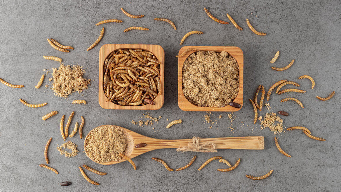 Έντομα στα τρόφιμα: Η κατάρρευση της Ÿnsect και οι καταναλωτές που λένε όχι σε γρύλους και προνύμφες