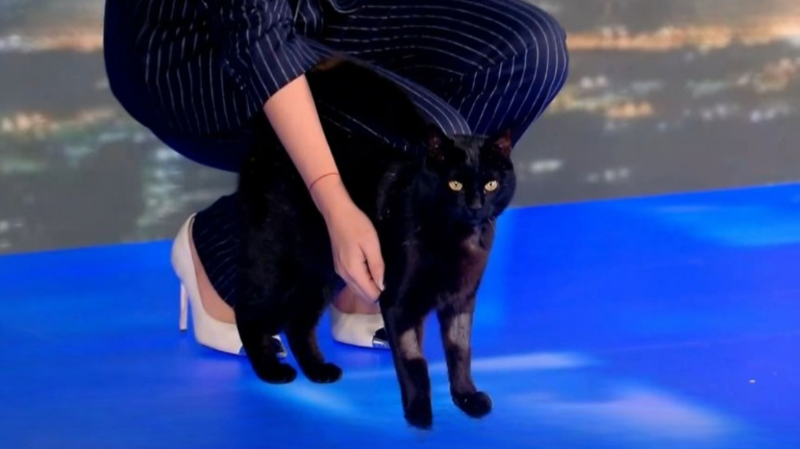 Ο μαύρος γάτος του ΣΚΑΪ «εισέβαλε» ξανά στο πλατό: Έχουμε επισκέψεις σήμερα