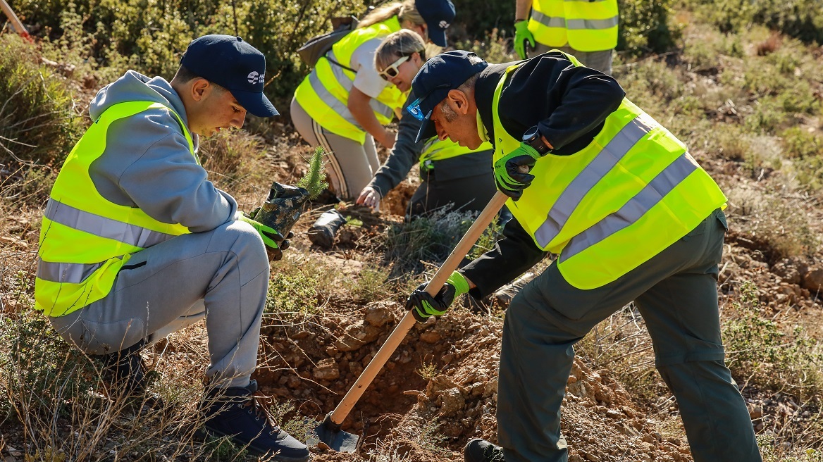 Αναδάσωση σε Πεντέλη και Παλλήνη στο πλαίσιο της περιβαλλοντικής στρατηγικής της HELLENiQ ENERGY