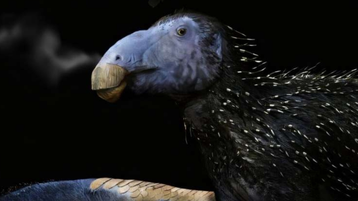 Ανακαλύφθηκε άγνωστο είδος δεινοσαύρου στην Κίνα: Εντοπίστηκε σχεδόν άθικτος σκελετός 125 εκατ. ετών