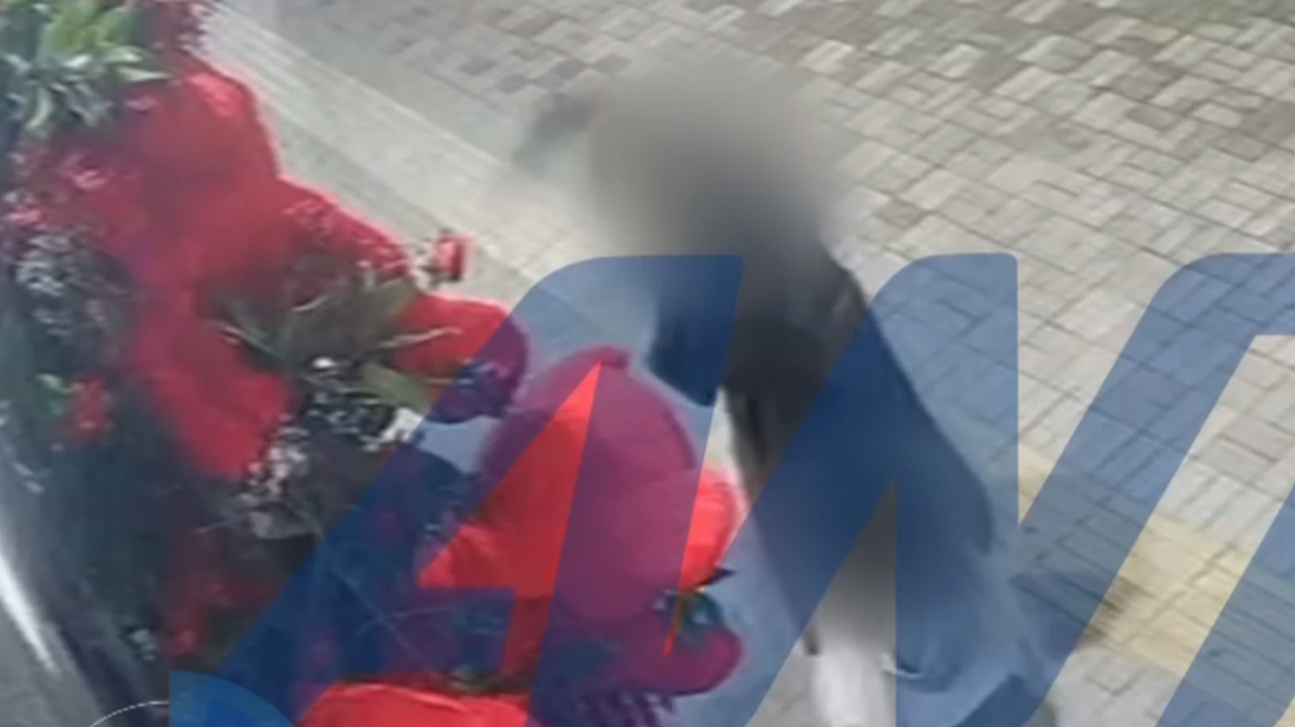 Θεσσαλονίκη: Έκλεψαν λούτρινα αρκουδάκια από ανθοπωλείο για τη γιορτή του Αγίου Βαλεντίνου, δείτε βίντεο