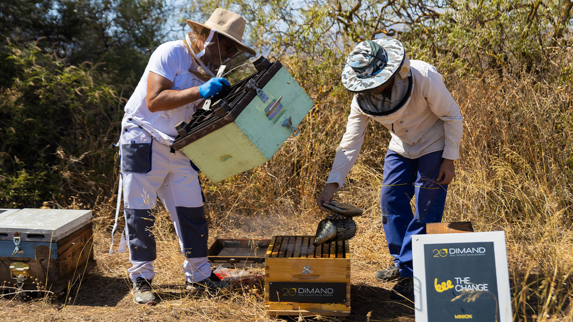 Η DIMAND φέρνει τις μέλισσες στην καρδιά της πόλης