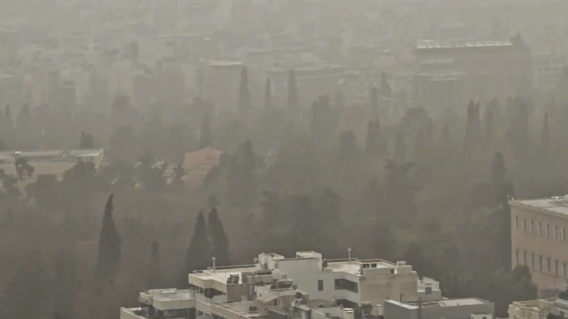 «Τροπικό δάσος» ο Εθνικός Κήπος λόγω της αφρικανικής σκόνης: Δείτε βίντεο 