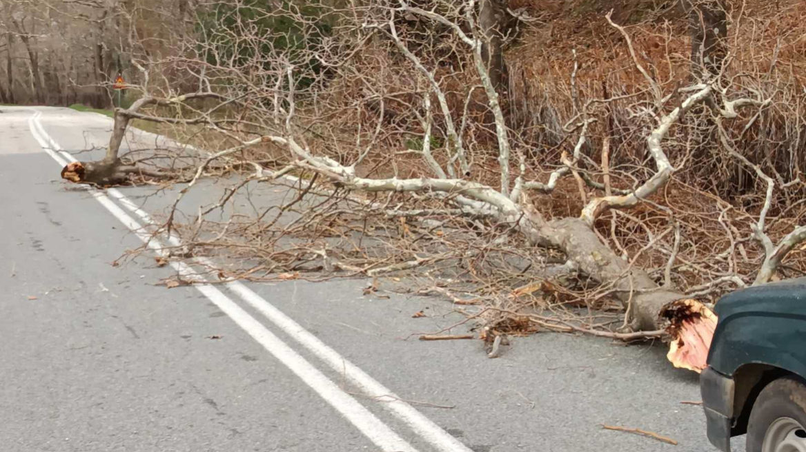 Προβλήματα στη Σαμοθράκη από τους ανέμους: Χωρίς ρεύμα μεγάλο μέρος του νησιού 