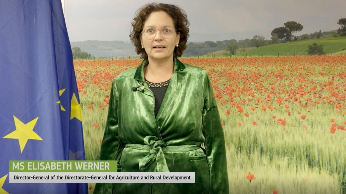 Δείτε το video με την παρέμβαση της Elisabeth Werner στο 4ο Cantina Academy