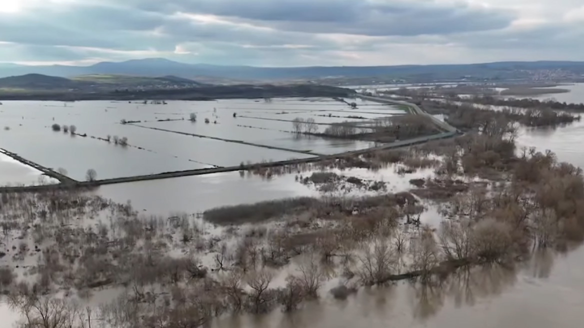 Σε Red Code ξανά ο Έβρος: Έσπασε κύριο ανάχωμα του ποταμού στην Κορνοφωλιά, δεκάδες χιλιάδες στρέμματα πλημμυρισμένα, απειλούνται οικισμοί