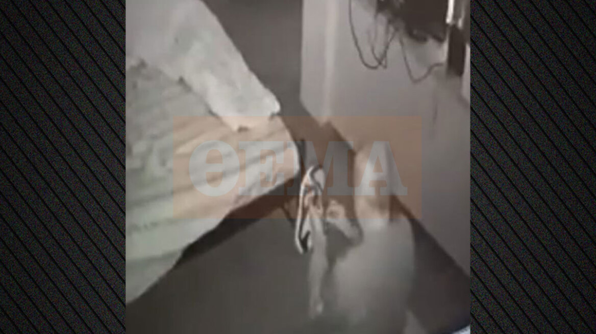 Ξεσπά η μητέρα της 25χρονης ΑμεΑ στην Κυψέλη: Αηδιαστικό το βίντεο από το σπίτι μου, εάν το δείξουν θα καταλάβουν όλοι με τι έκτρωμα έχουμε να κάνουμε