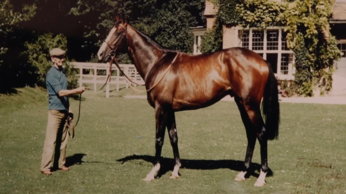 Η απαγωγή του πιο ακριβού αλόγου στον κόσμο που παραμένει άλυτο μυστήριο από το 1983