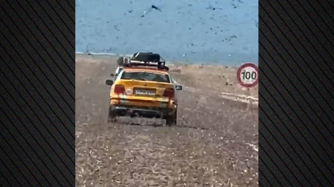 Τεράστια σμήνη ακρίδων αιφνιδίασαν οδηγούς στη Σαχάρα, δείτε βίντεο