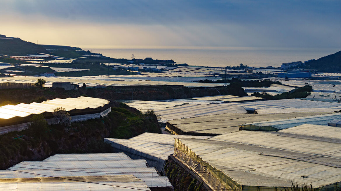Αυτό είναι το μεγαλύτερο θερμοκήπιο που τρέφει όλη την Ευρώπη