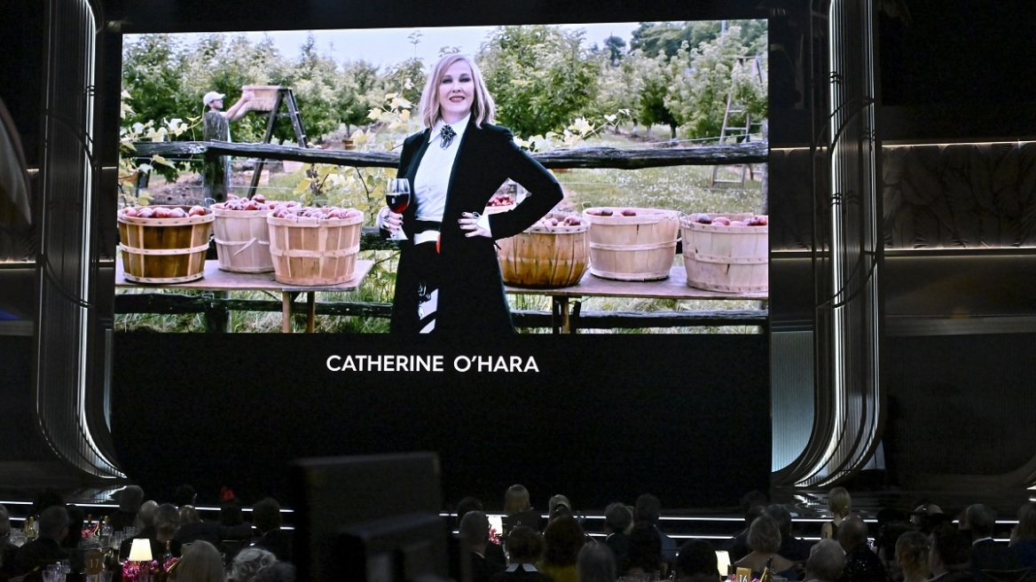 2026 Actors Awards: Μετά θάνατον βράβευση για την Κάθριν Ο'Χάρα  - Δάκρυα στο κοινό (βίντεο)


