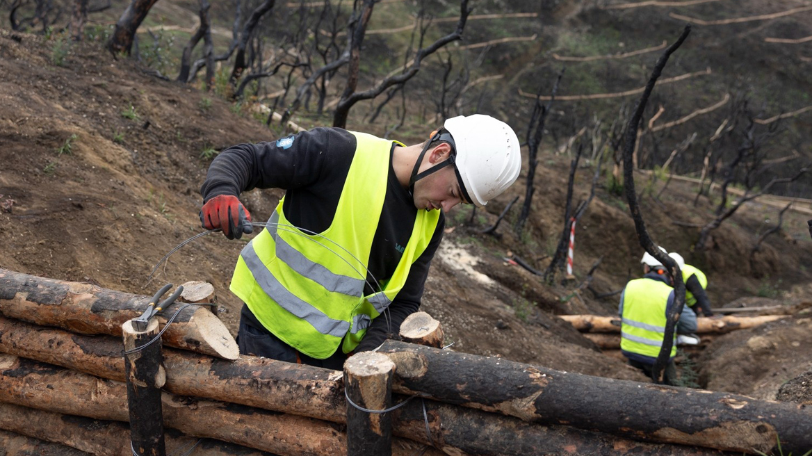 Μετά τις στάχτες: η αποκατάσταση της Αχαΐας μέσα από ανθρώπινες μαρτυρίες