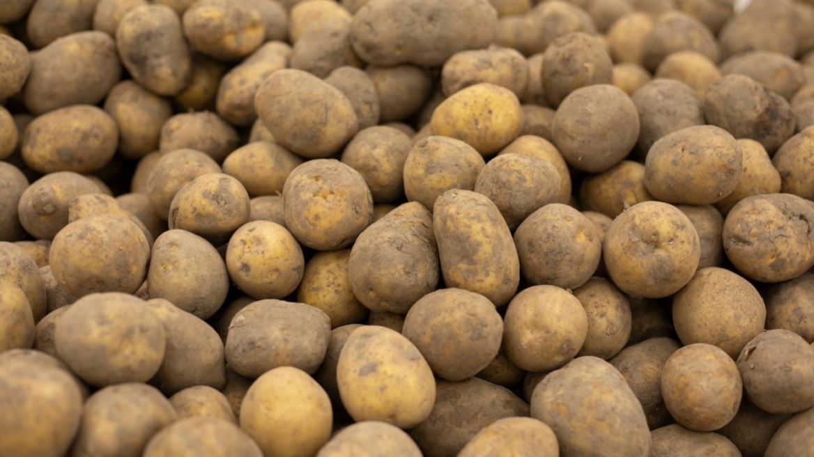 Πατάτες Αιγύπτου ως «ελληνικές»: Τι έδειξαν οι έλεγχοι του υπ. Ανάπτυξης στην αγορά, «έπεσαν» πρόστιμα 62.000 ευρώ