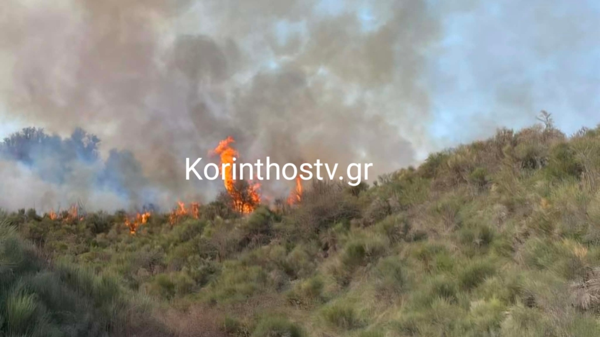 Καλύτερη η εικόνα της φωτιάς στα Σοφιανά Κορινθίας: Μεγάλη κινητοποίηση της Πυροσβεστικής, δείτε εικόνες