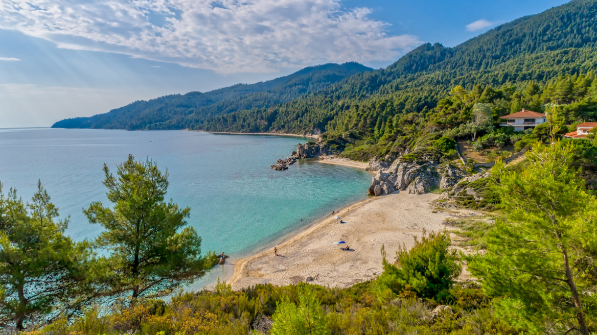 Σε δημοπρασία η γνωστή παραλία «Φάβα» στη Χαλκιδική, αντιδράσεις από κατοίκους και τοπικούς φορείς