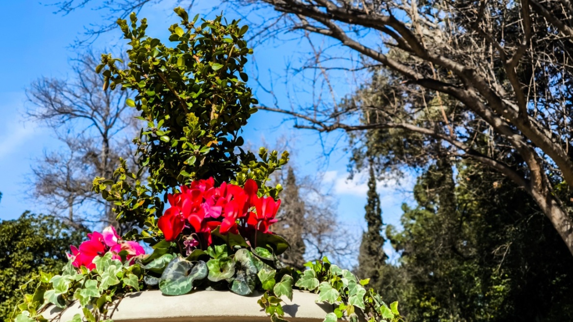 Καιρός: Ήπιος και ανοιξιάτικος το επόμενο δεκαήμερο, με μικρές διακυμάνσεις
