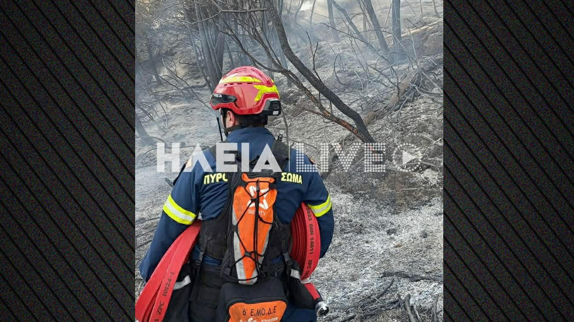 Μαίνεται το πύρινο μέτωπο σε δάσος στα Βυτιναίικα Πύργου Ηλείας