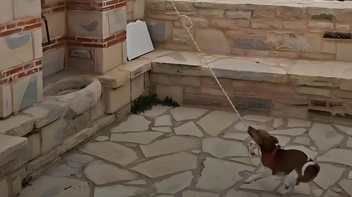 Σκύλος χτυπά την καμπάνα σε εκκλησία στην Κρήτη και γίνεται viral, δείτε βίντεο