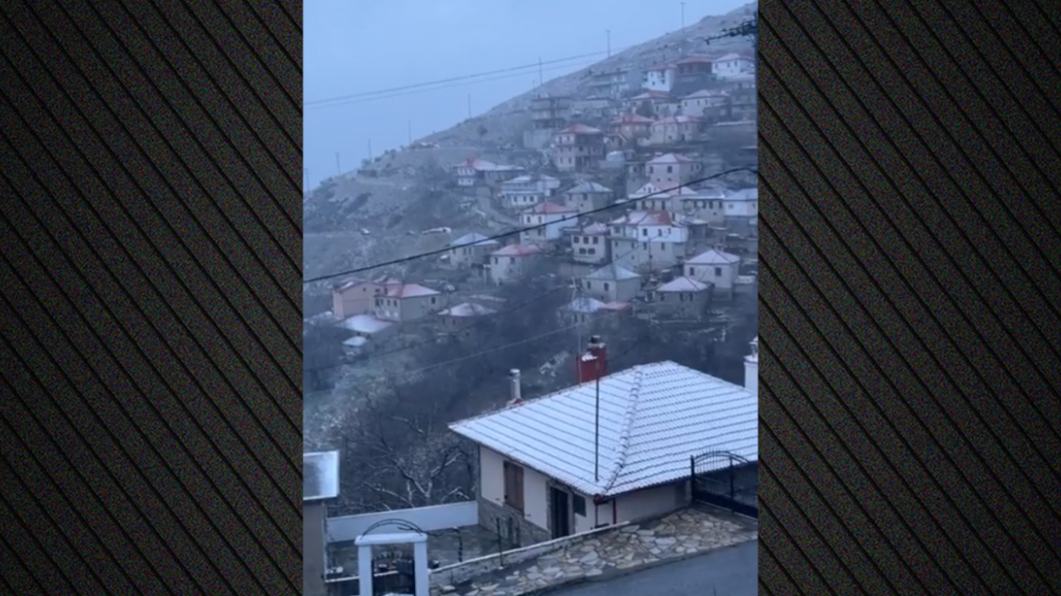 Στα λευκά η ορεινή Ελασσόνα: Χειμωνιάτικο ξύπνημα με χιονοπτώσεις και τσουχτερό κρύο, δείτε βίντεο και φωτογραφίες