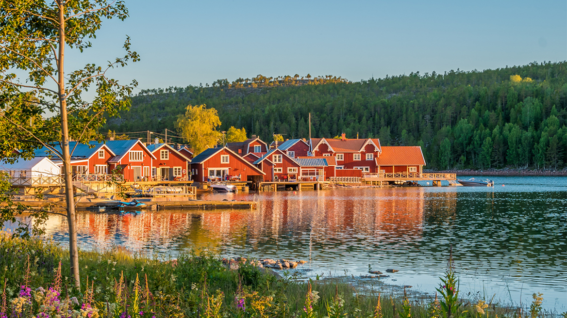 Το πράσινο φάρμακο – Μια δωρεάν θεραπεία για όλους
