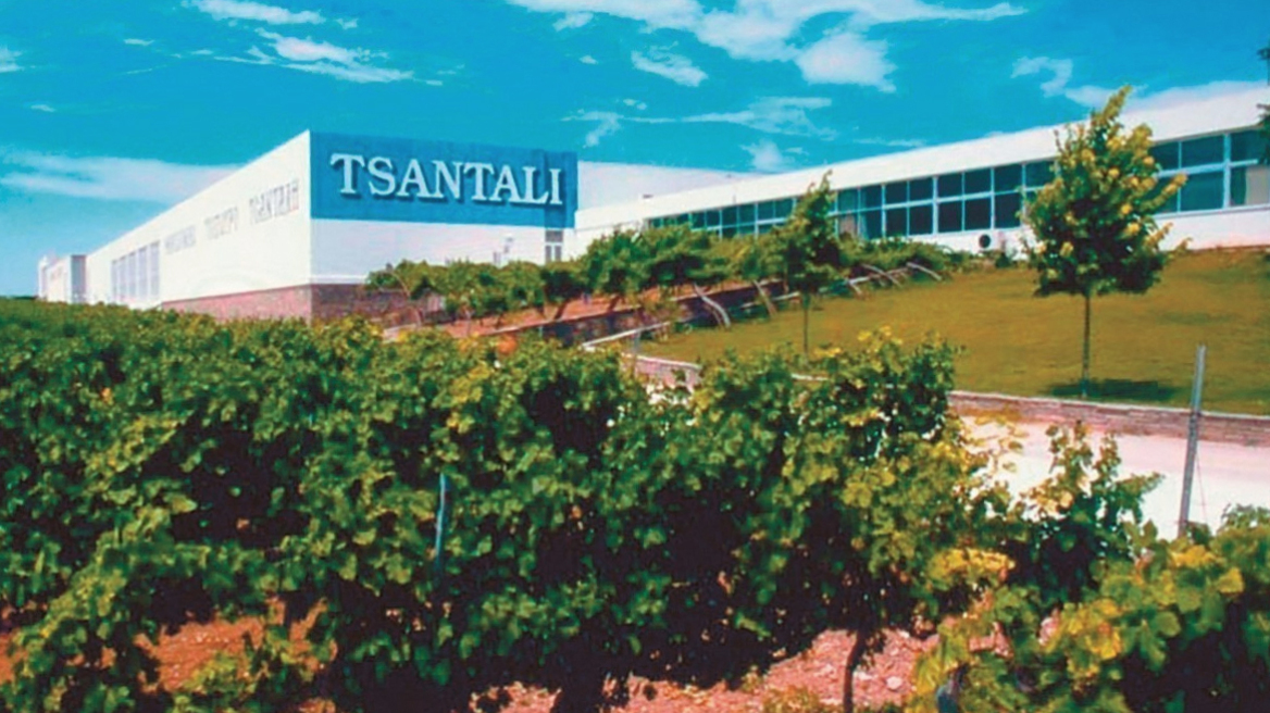 Σε κρίση γνωστές ελληνικές οινοποιίες – Πώς βρέθηκαν σε αδιέξοδο