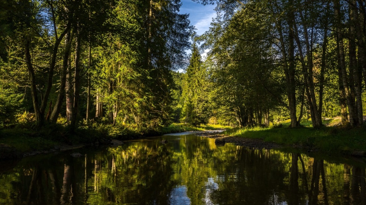Τι είναι το «terroir» του νερού και γιατί είναι σημαντικό να γνωρίζουμε γι’ αυτό
