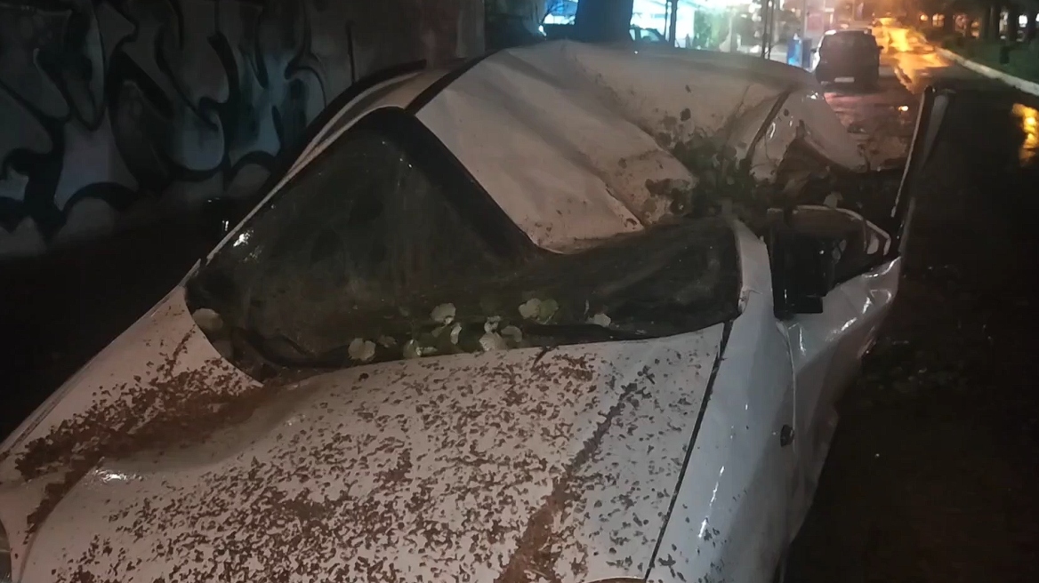Κακοκαιρία: Δέντρο ισοπέδωσε αυτοκίνητο στην Ηλιούπολη, δείτε βίντεο