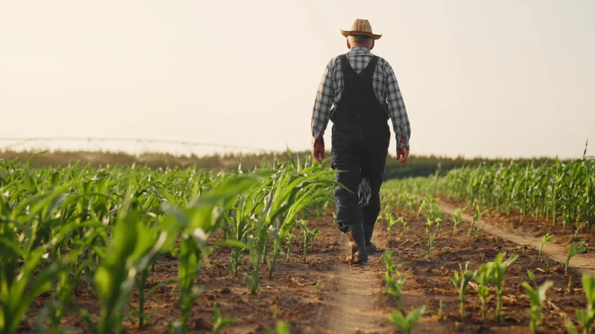 Μελέτη στο Nature συνδέει τα φυτοφάρμακα με αυξημένο κίνδυνο καρκίνου
