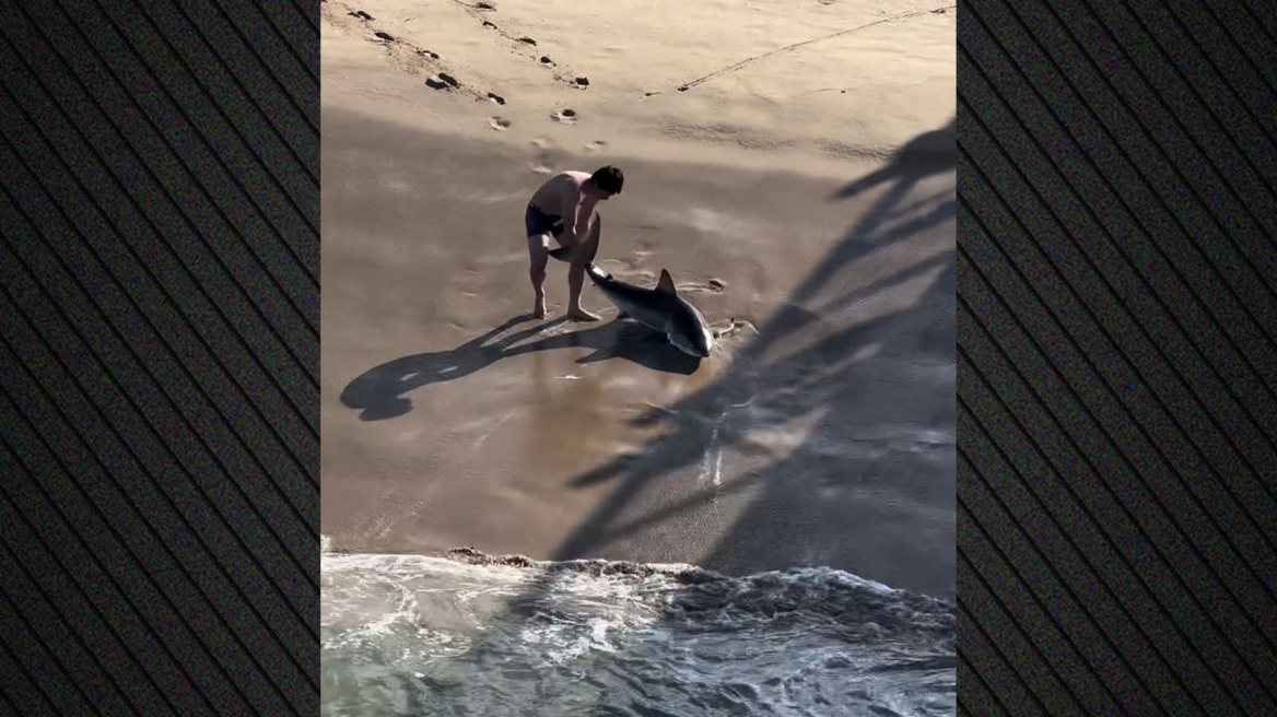 Η συγκλονιστική στιγμή που 20χρονος ψαράς σώζει λευκό καρχαρία που είχε μπλεχτεί στην πετονιά του στην Καλιφόρνια, δείτε βίντεο