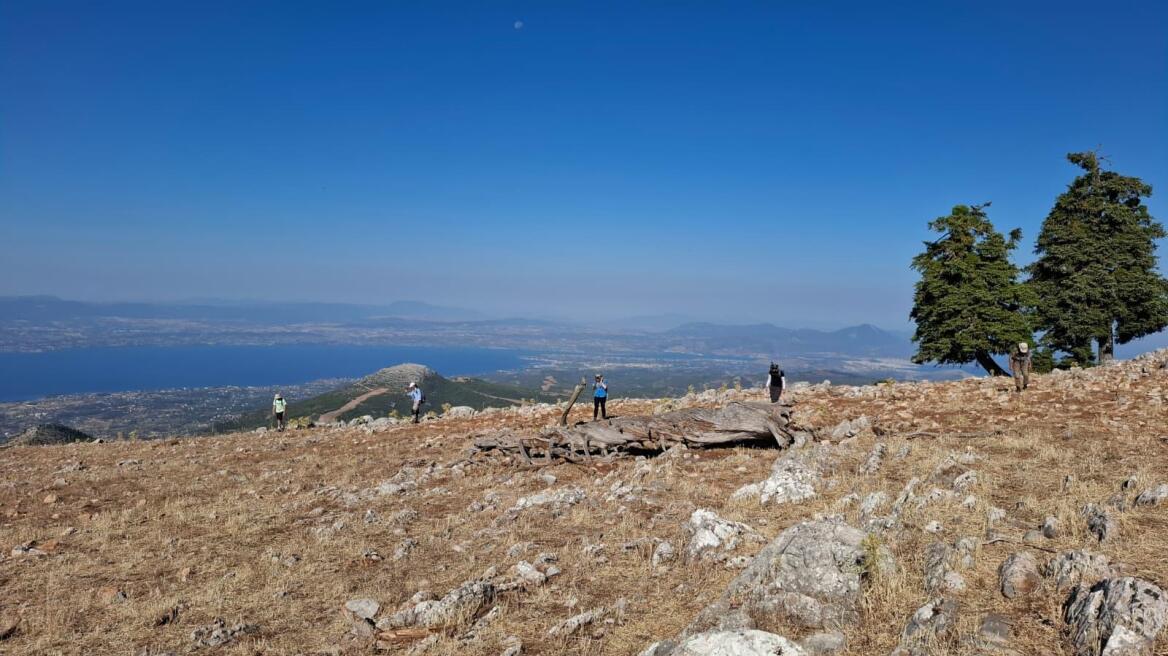 Ερέτρια Εύβοιας: Σημαντικά αρχαιολογικά ευρήματα φωτίζουν την εξέλιξή της από τη Νεολιθική εποχή