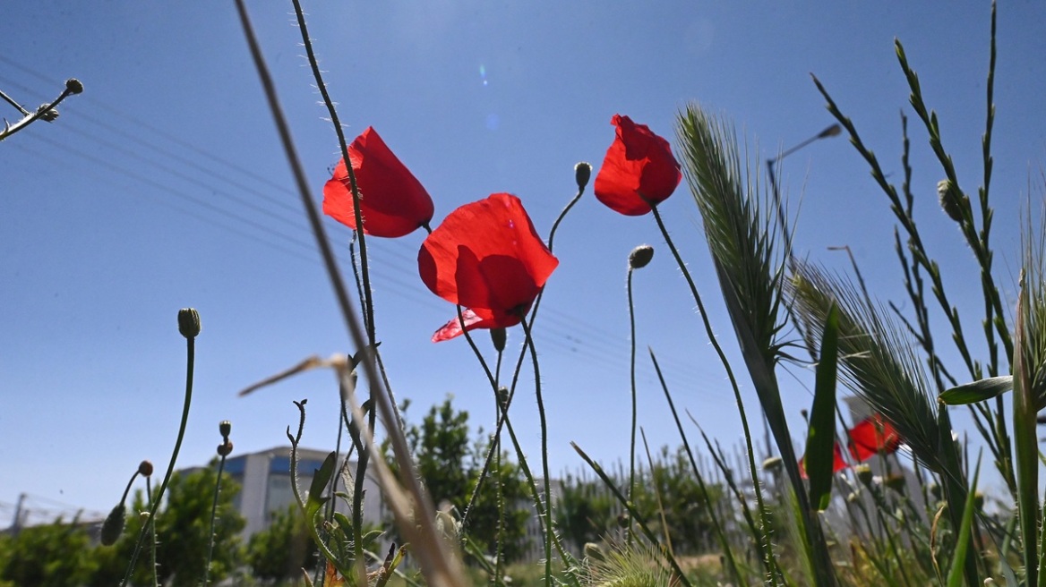 Καιρός: Οι 8 περιοχές με τις υψηλότερες θερμοκρασίες, πού ξεπέρασε τους 28°C το θερμόμετρο