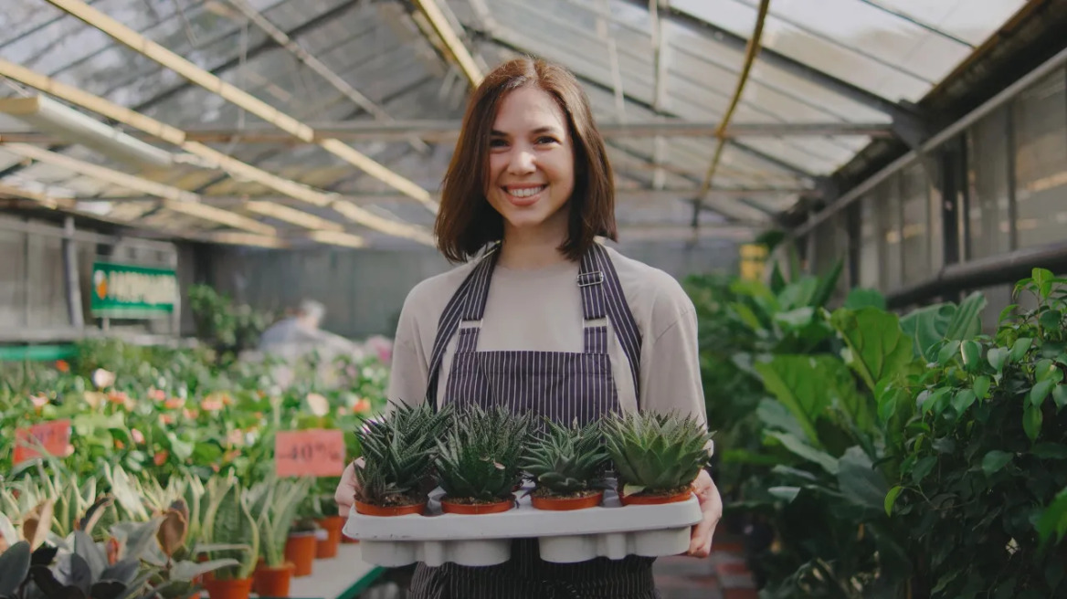 8 φυτά εσωτερικού χώρου που χαρίζουν αρμονία και μας φτιάχνουν τη διάθεση