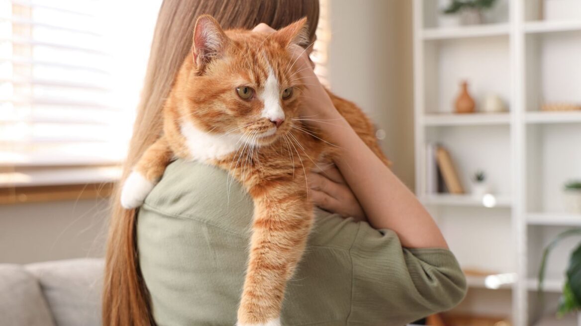 Τα πράγματα που έχουμε στο σπίτι μας και δεν φανταζόμαστε ότι είναι πολύ επικίνδυνα για τη γάτα μας