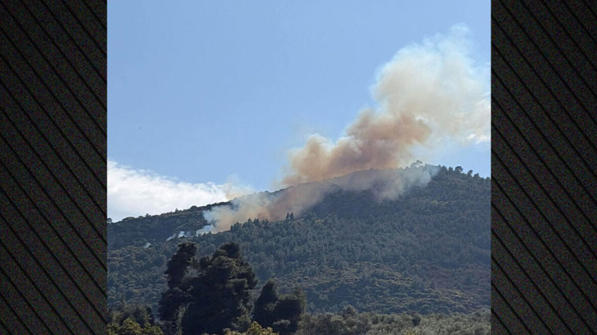 Από καύση υπολειμμάτων καλλιεργειών η φωτιά στην Άμπελο Αχαΐας, συνελήφθη 51χρονος