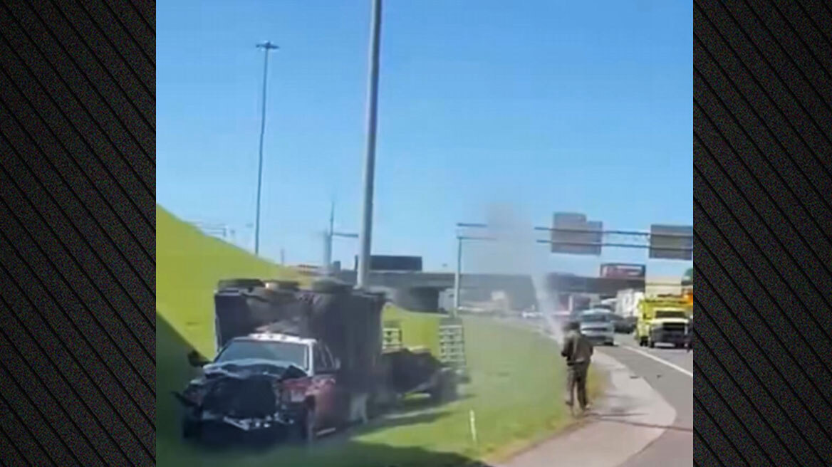 Αναστάτωση σε αυτοκινητόδρομο στο Τενεσί: Ανετράπη φορτηγό με 1 εκατ. μέλισσες, δείτε βίντεο