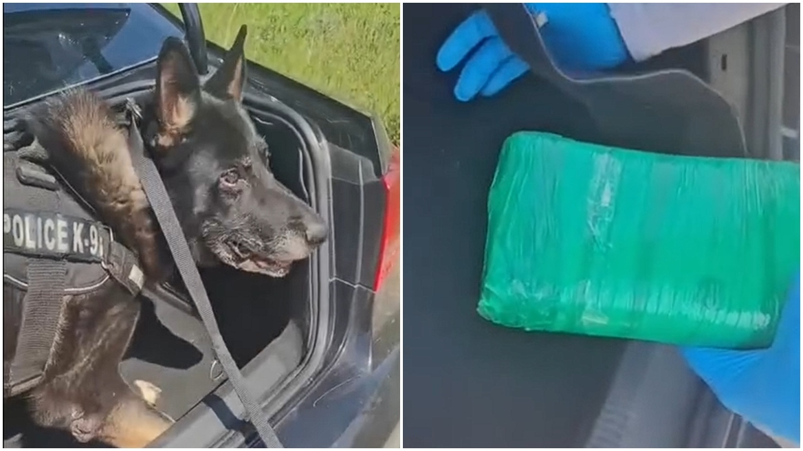 Θεσσαλονίκη: Αστυνομικός σκύλος βρήκε πάνω από ένα κιλό κοκαΐνης σε αυτοκίνητο, δείτε βίντεο