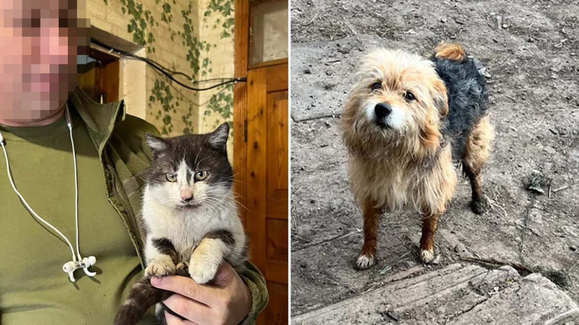 Συγκινητική διάσωση: Στρατιώτες στην Ουκρανία μετέφεραν γάτα και σκύλο με drone από την πρώτη γραμμή του πολέμου