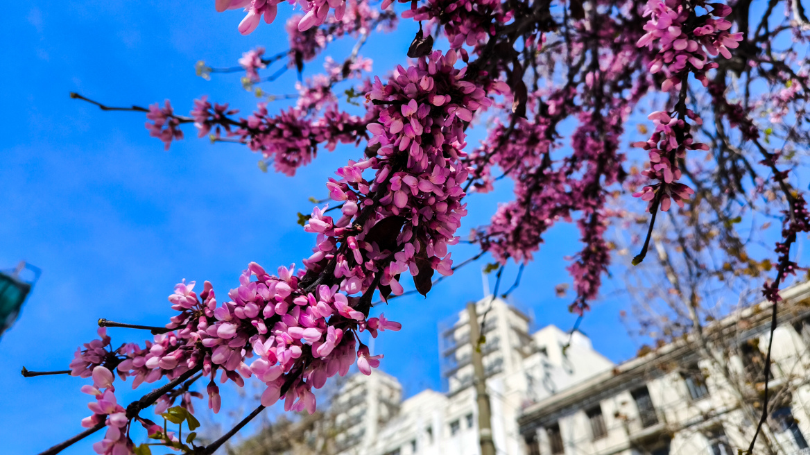 Ανοιξιάτικος ο καιρός σήμερα με θερμοκρασίες έως 26 βαθμούς, πότε χαλάει
