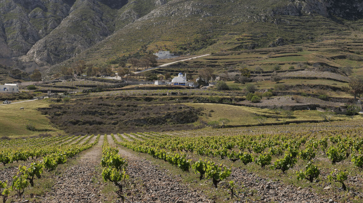 Όταν το οινοποιείο γίνεται προορισμός
