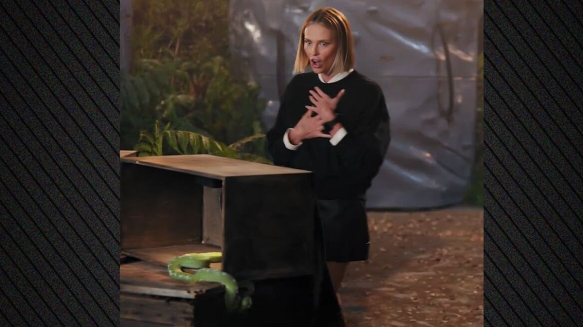 Σαρλίζ Θερόν: Τα ουρλιαχτά της όταν άγγιξε φίδι σε challenge του Netflix, δείτε βίντεο