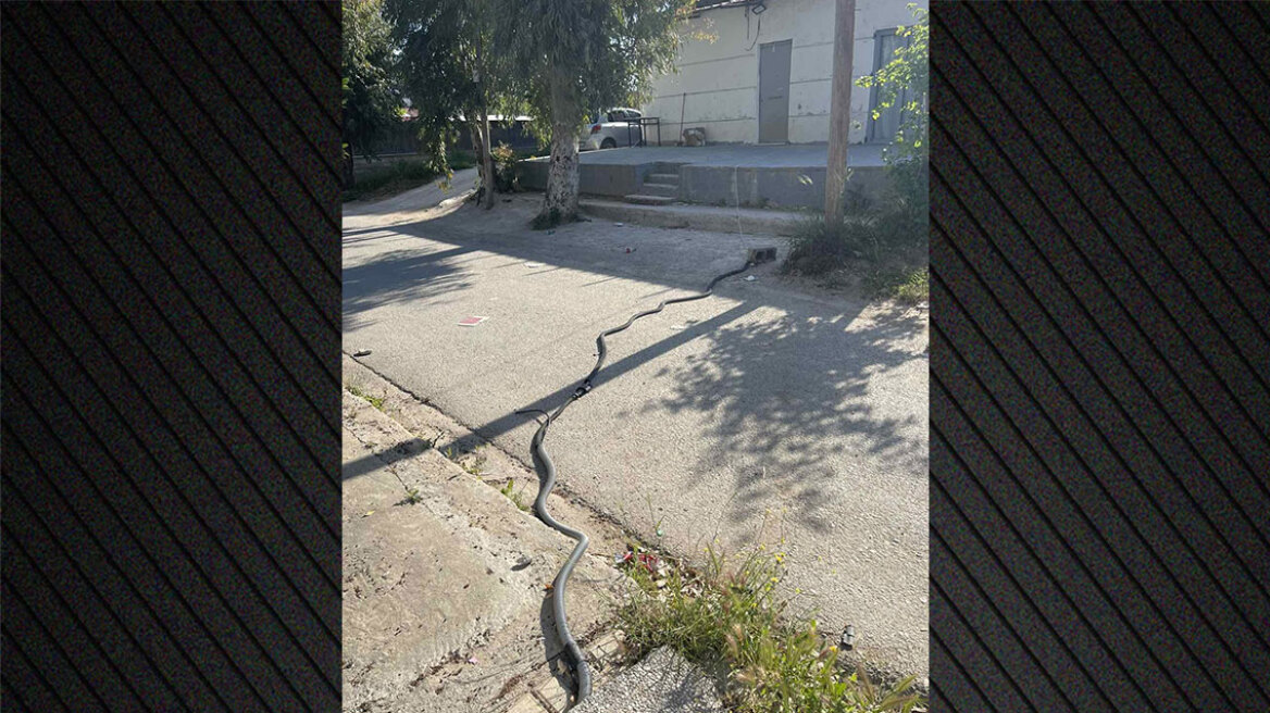 Μεγάλη αστυνομική επιχείρηση σε οικισμό στο Ζεφύρι, 10 συλλήψεις για ρευματοκλοπές
