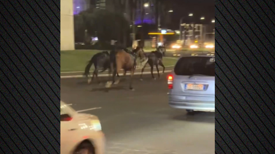 Άλογα εκτός ελέγχου καλπάζουν σε λεωφόρο της Ρώμης, πέντε τραυματίες, βίντεο
