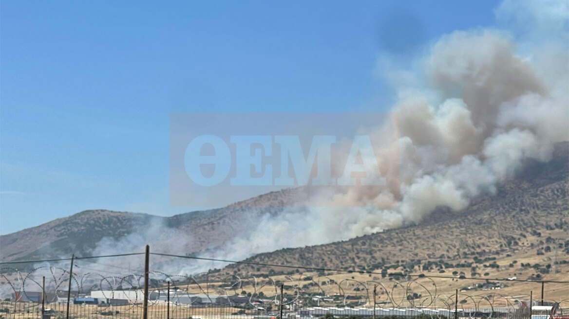Χωρίς ενεργό μέτωπο η φωτιά στον Ασπρόπυργο, παραμένουν δυνάμεις της πυροσβεστικής στο σημείο, δείτε βίντεο