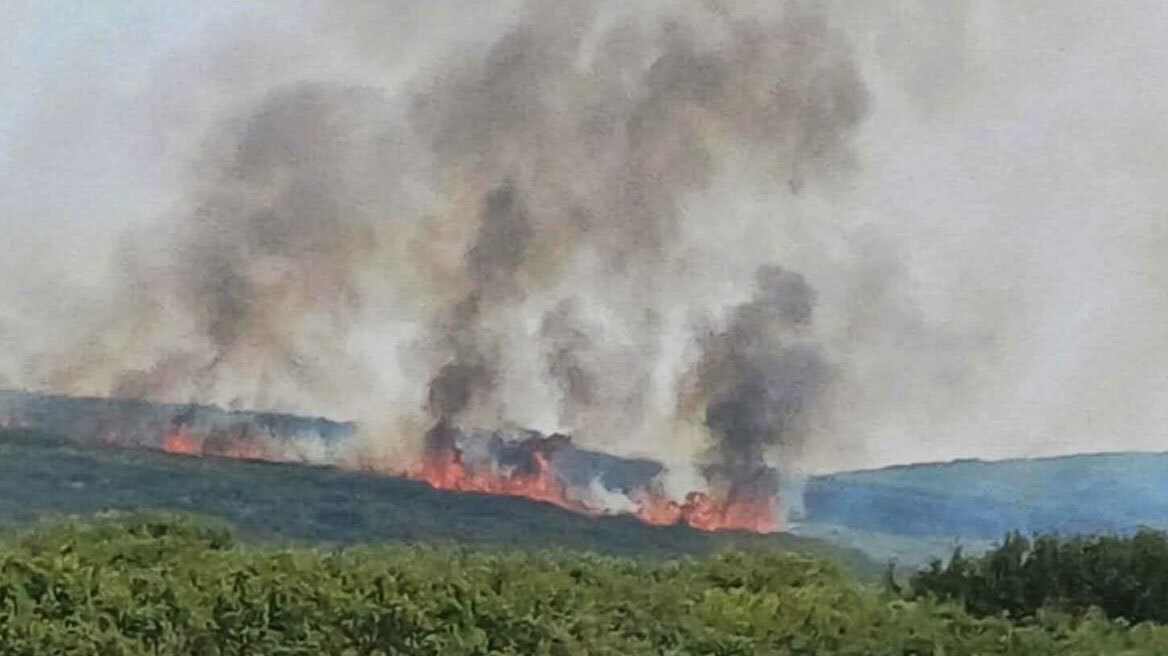 Οριοθετήθηκαν οι φωτιές στη Φθιώτιδα και στα Φάρσαλα