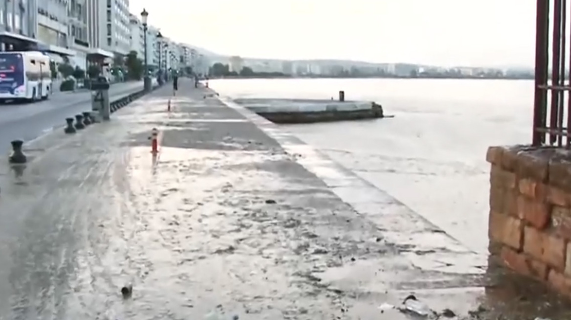 Βγήκε στην στεριά το φυτοπλαγκτόν στο λιμάνι της Θεσσαλονίκης, δείτε βίντεο 